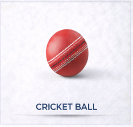 Cricket Ball